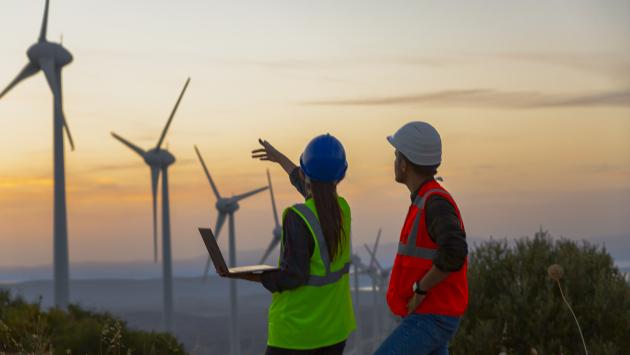 Two workers examine a windmill from a distance